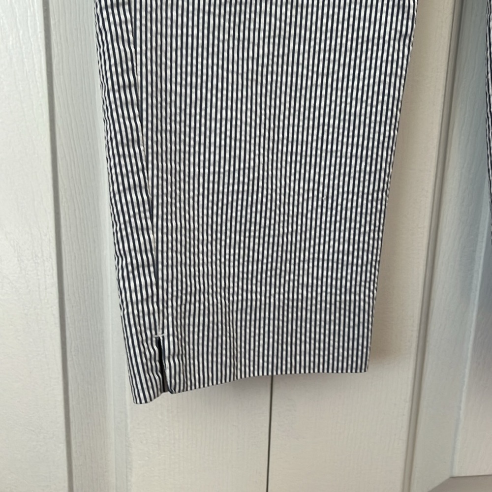 Ann Taylor Seersucker blue & white cropped pants Sz 10 - Picture 6 of 9